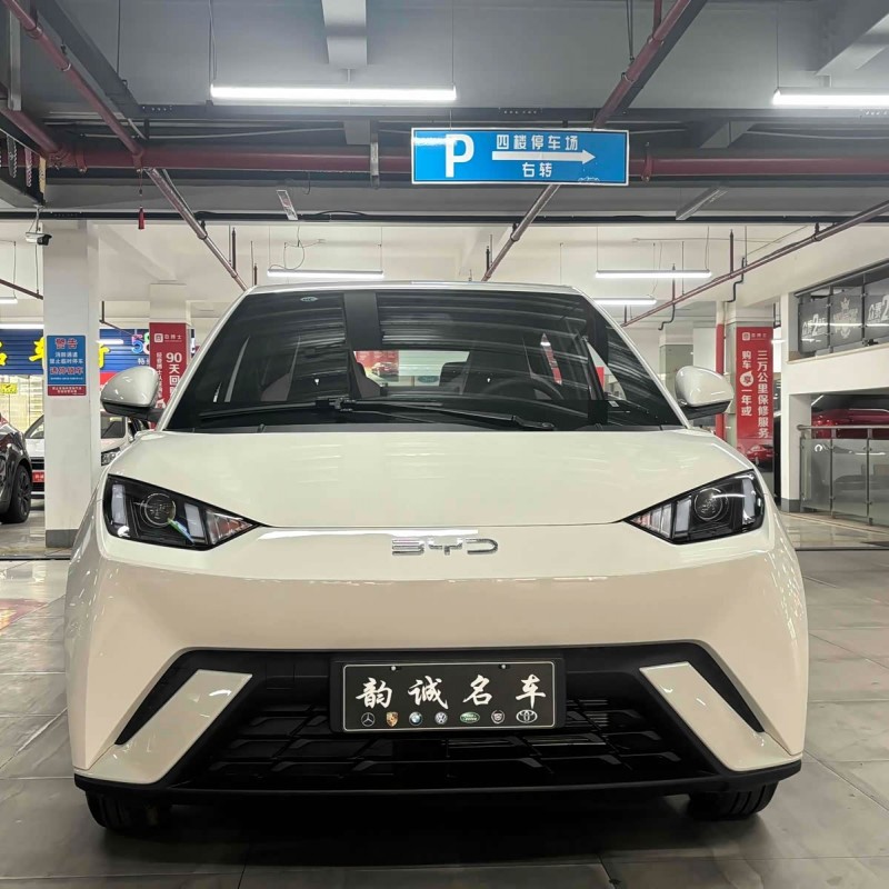 Seagull 2025 305km Vitality Edition Seagull 2025 305km Vitality Edition
