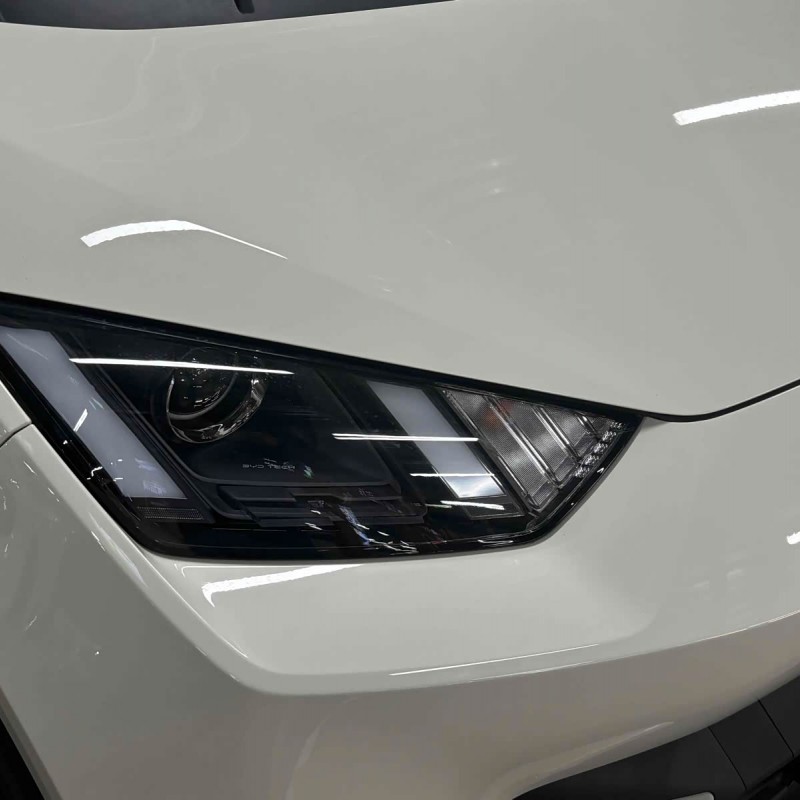 Seagull 2025 305km Vitality Edition Seagull 2025 305km Vitality Edition