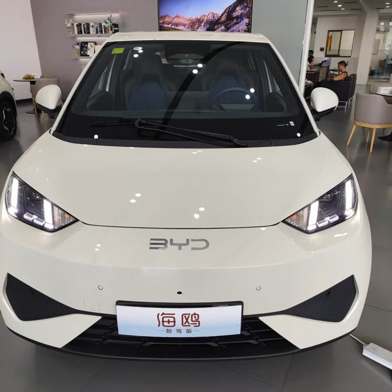 Seagull 2025 305km Vitality Edition Seagull 2025 305km Vitality Edition