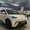Seagull 2025 305km Vitality Edition