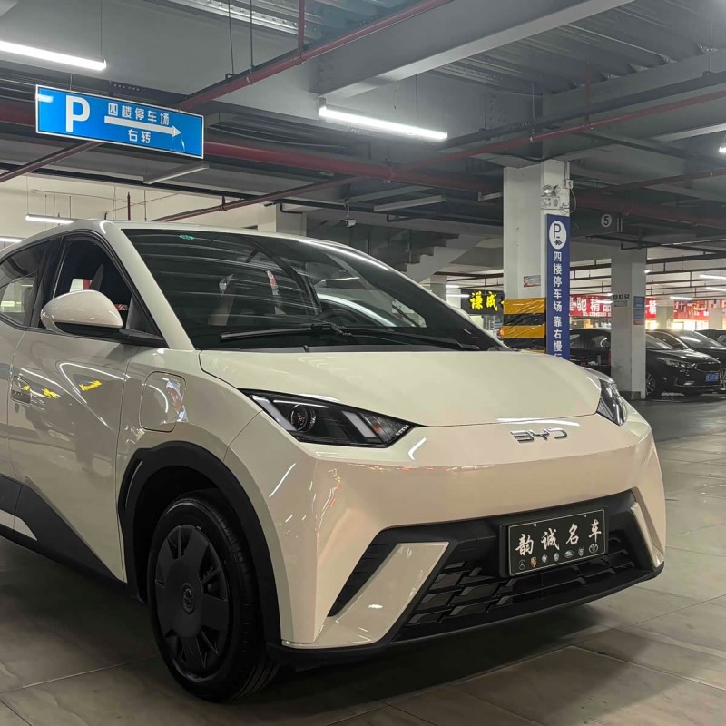 Seagull 2025 305km Vitality Edition Seagull 2025 305km Vitality Edition