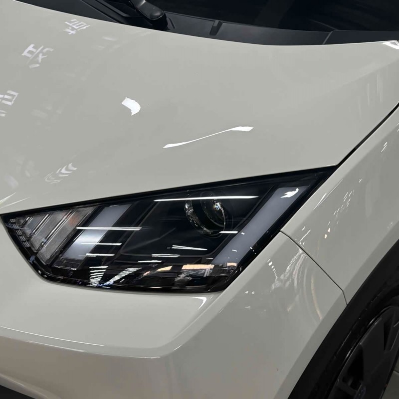Seagull 2025 305km Vitality Edition Seagull 2025 305km Vitality Edition