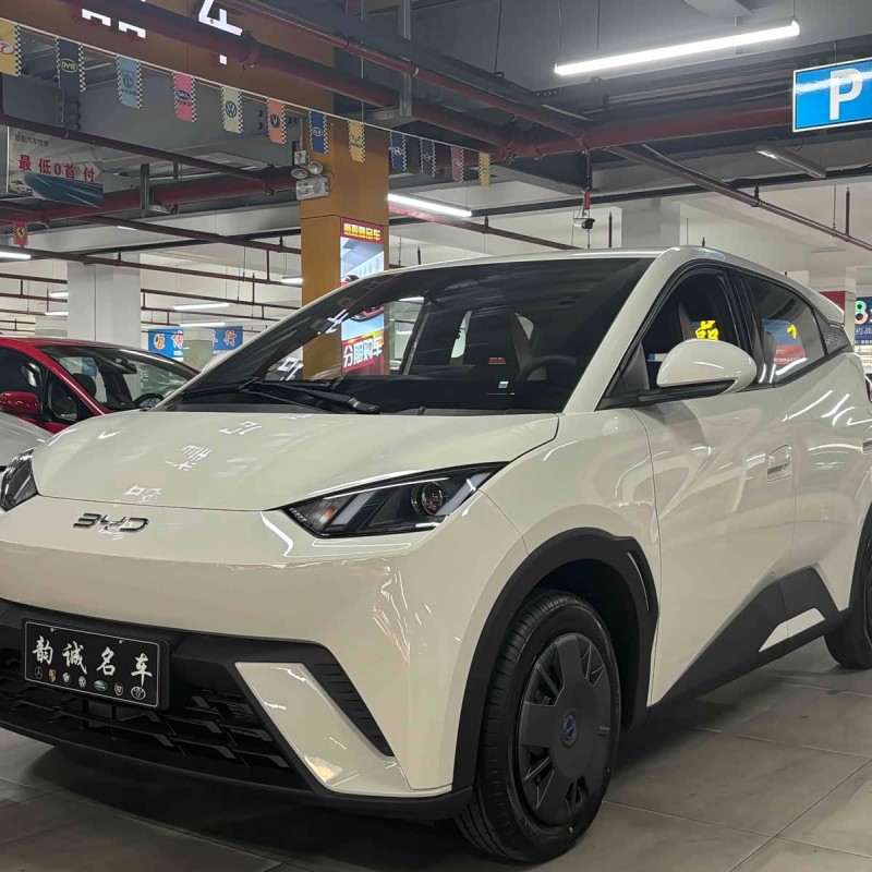 Seagull 2025 305km Vitality Edition