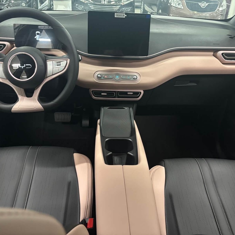 Seagull 2025 305km Vitality Edition Seagull 2025 305km Vitality Edition