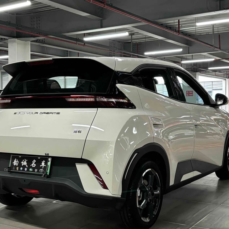 Seagull 2025 305km Vitality Edition Seagull 2025 305km Vitality Edition