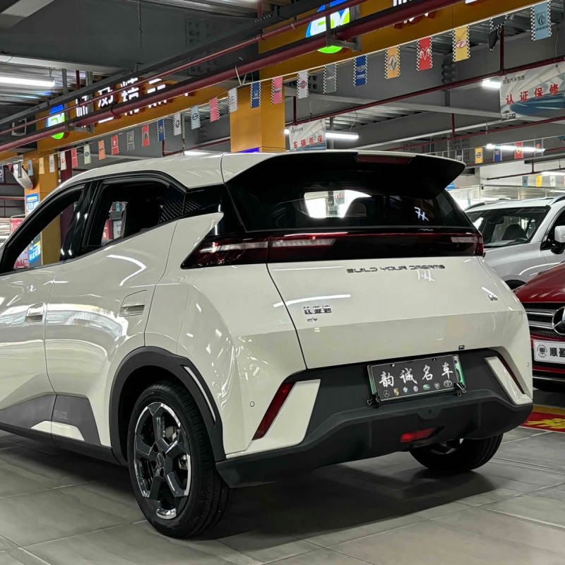 Seagull 2025 305km Vitality Edition Seagull 2025 305km Vitality Edition