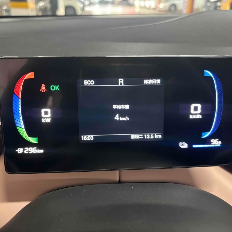 Seagull 2025 305km Vitality Edition Seagull 2025 305km Vitality Edition