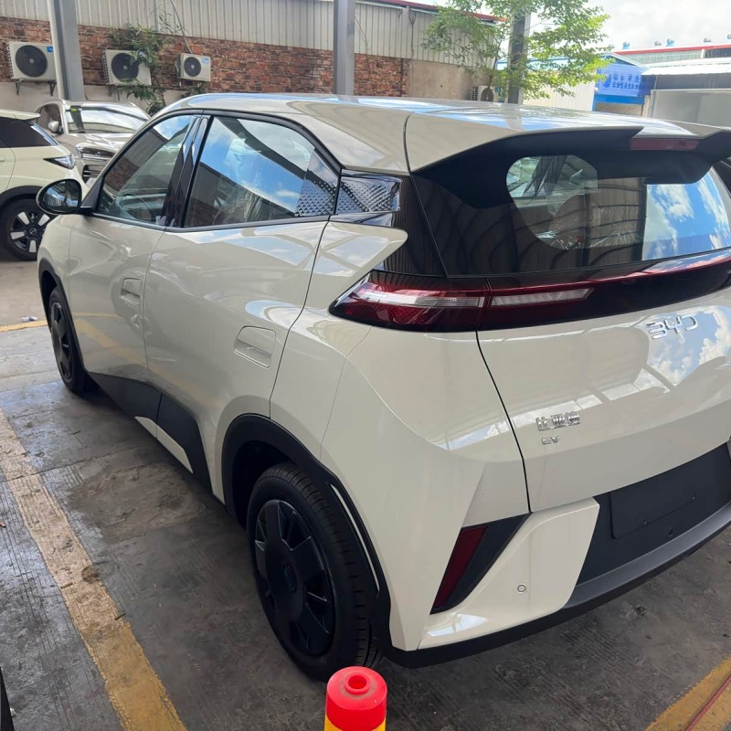 Seagull 2025 Smart Driving Edition 305km Vitality Edition Seagull 2025 Smart Driving Edition 305km Vitality Edition