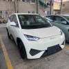 Seagull 2025 Smart Driving Edition 305km Vitality Edition