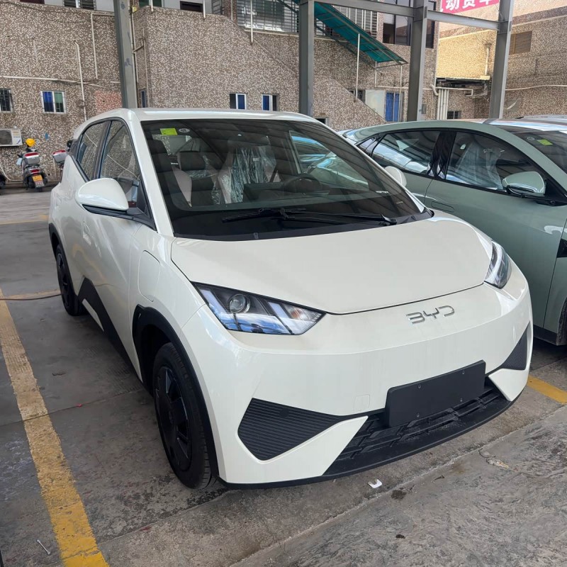 Seagull 2025 Smart Driving Edition 305km Vitality Edition Seagull 2025 Smart Driving Edition 305km Vitality Edition