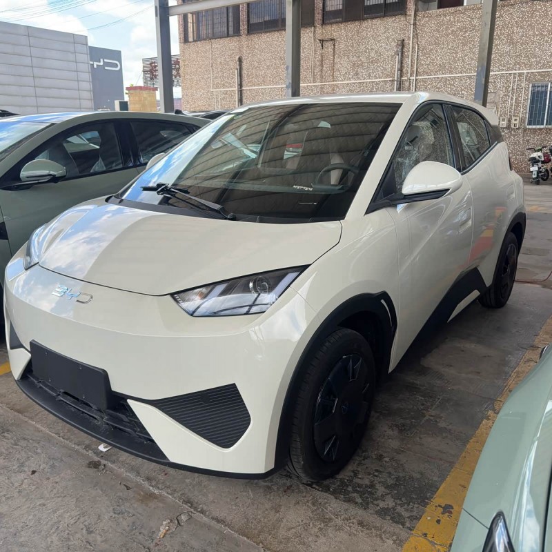 Seagull 2025 Smart Driving Edition 305km Vitality Edition
