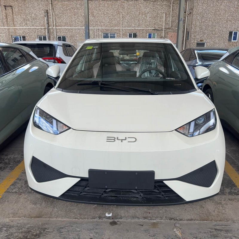 Seagull 2025 Smart Driving Edition 305km Vitality Edition Seagull 2025 Smart Driving Edition 305km Vitality Edition