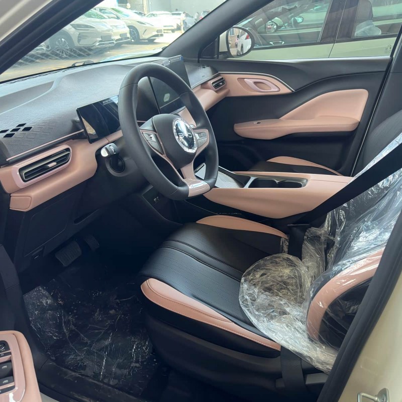 Seagull 2025 Smart Driving Edition 305km Vitality Edition Seagull 2025 Smart Driving Edition 305km Vitality Edition