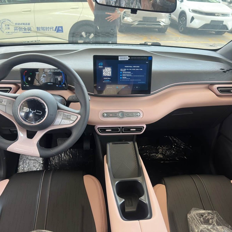 Seagull 2025 Smart Driving Edition 305km Vitality Edition Seagull 2025 Smart Driving Edition 305km Vitality Edition