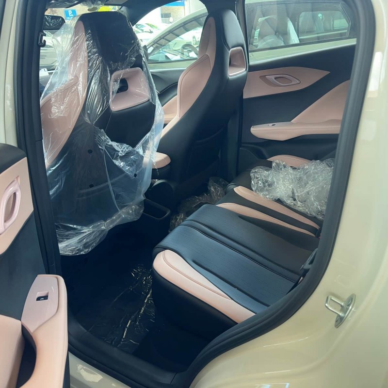 Seagull 2025 Smart Driving Edition 305km Vitality Edition Seagull 2025 Smart Driving Edition 305km Vitality Edition