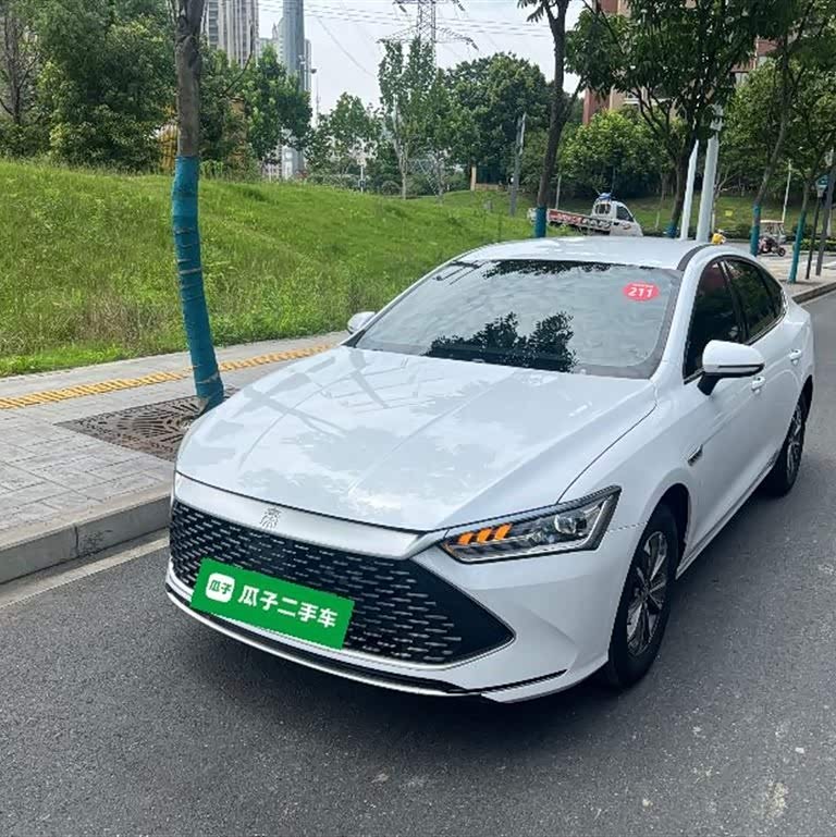 Qin PLUS 2024 Honor Edition DM-i 55KM Leading Edition