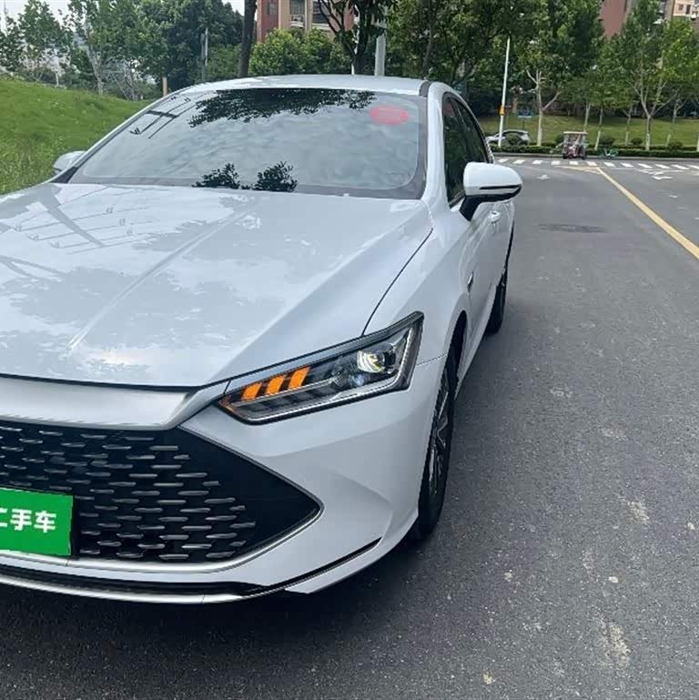 Qin PLUS 2024 Honor Edition DM-i 55KM Leading Edition Qin PLUS 2024 Honor Edition DM-i 55KM Leading Edition