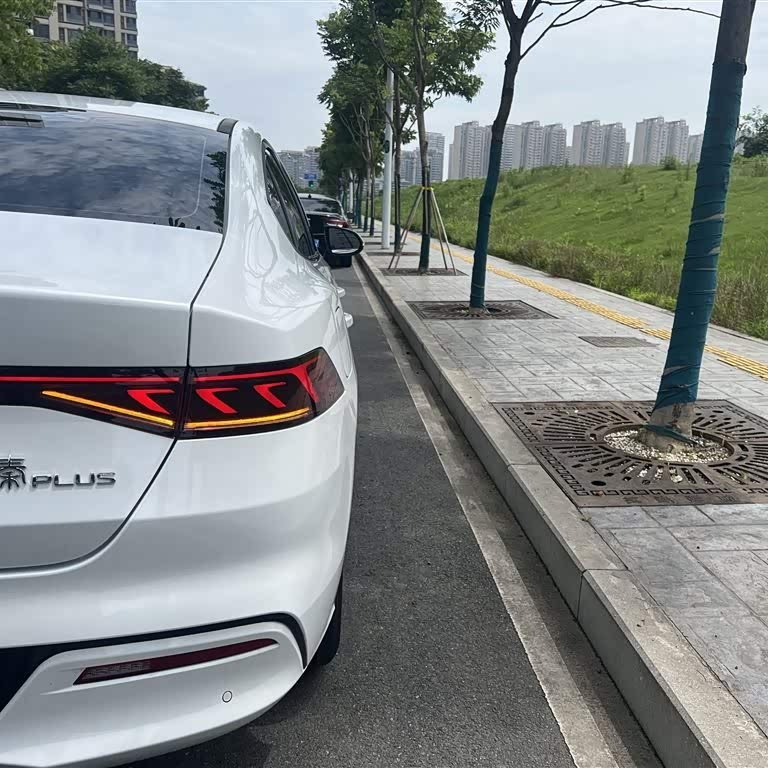 Qin PLUS 2024 Honor Edition DM-i 55KM Leading Edition Qin PLUS 2024 Honor Edition DM-i 55KM Leading Edition