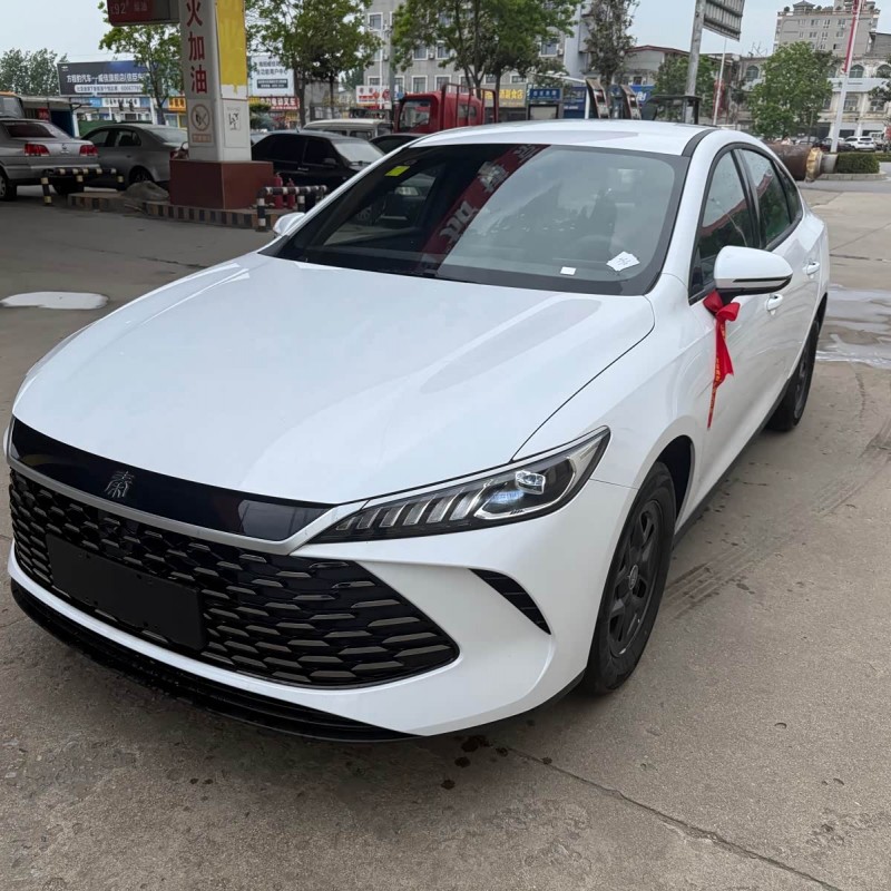 Qin PLUS 2025 DM-i Intelligent Driving Edition 55KM Leading Edition