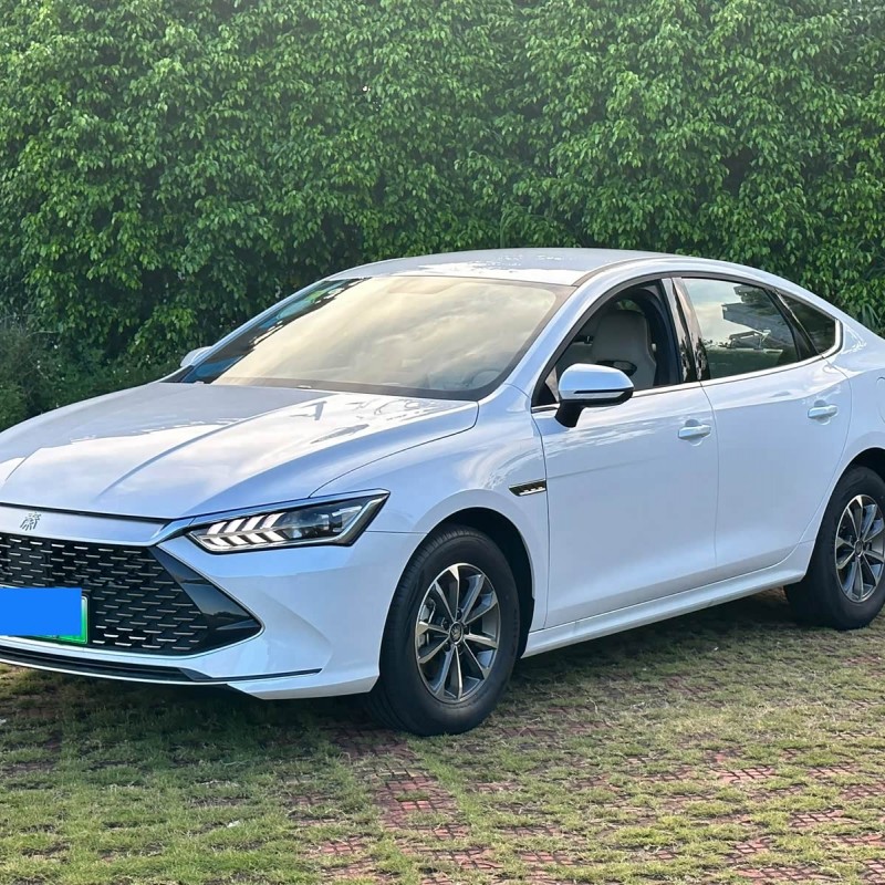 Qin PLUS 2024 Honor Edition DM-i 55KM Leading Edition