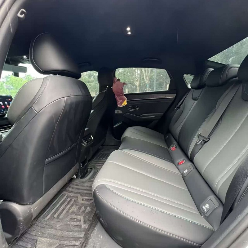 Qin L 2024 DM-i 80KM Beyond Edition Qin L 2024 DM-i 80KM Beyond Edition