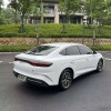 Qin L 2024 DM-i 80KM Beyond Edition