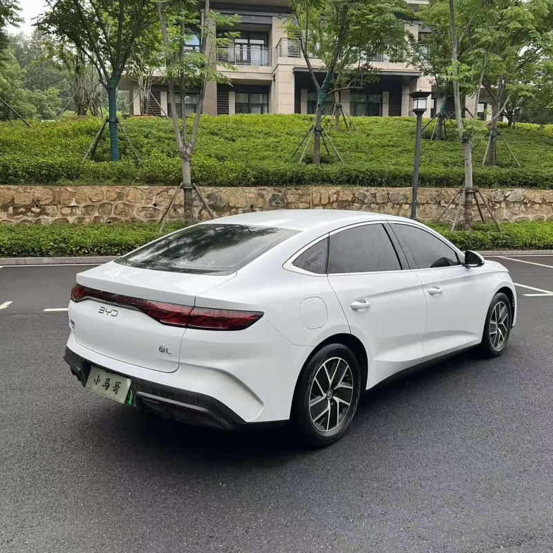 Qin L 2024 DM-i 80KM Beyond Edition Qin L 2024 DM-i 80KM Beyond Edition