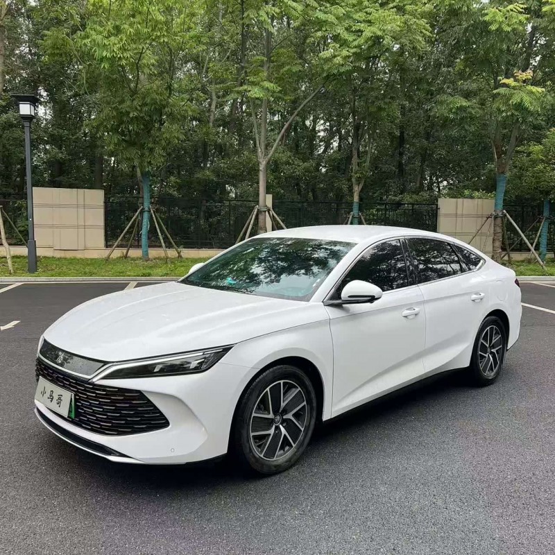 Qin L 2024 DM-i 80KM Beyond Edition