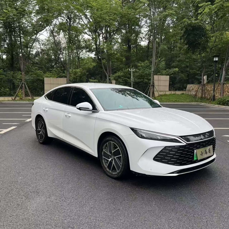 Qin L 2024 DM-i 80KM Beyond Edition Qin L 2024 DM-i 80KM Beyond Edition