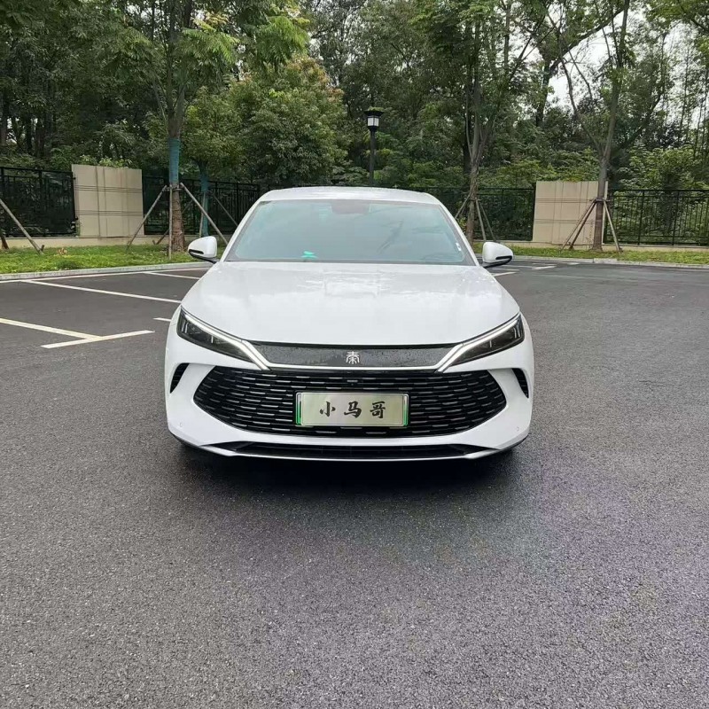 Qin L 2024 DM-i 80KM Beyond Edition Qin L 2024 DM-i 80KM Beyond Edition