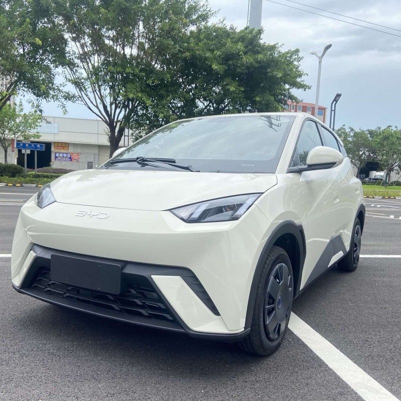 Seagull 2025 305km Vitality Edition