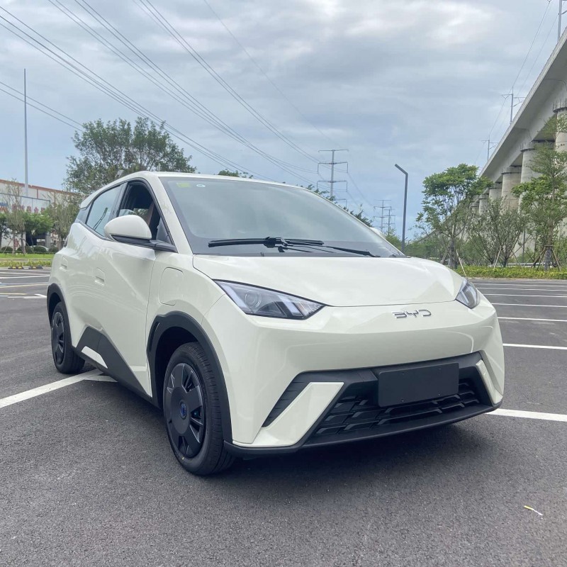 Seagull 2025 305km Vitality Edition Seagull 2025 305km Vitality Edition