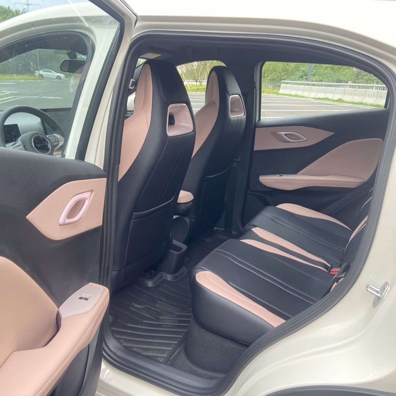 Seagull 2025 305km Vitality Edition Seagull 2025 305km Vitality Edition