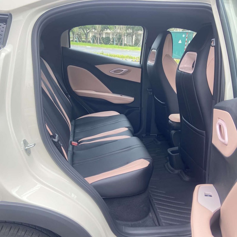 Seagull 2025 305km Vitality Edition Seagull 2025 305km Vitality Edition