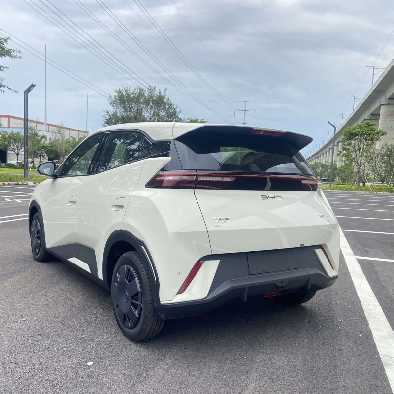 Seagull 2025 305km Vitality Edition Seagull 2025 305km Vitality Edition