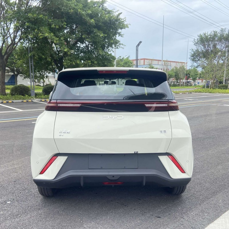 Seagull 2025 305km Vitality Edition Seagull 2025 305km Vitality Edition