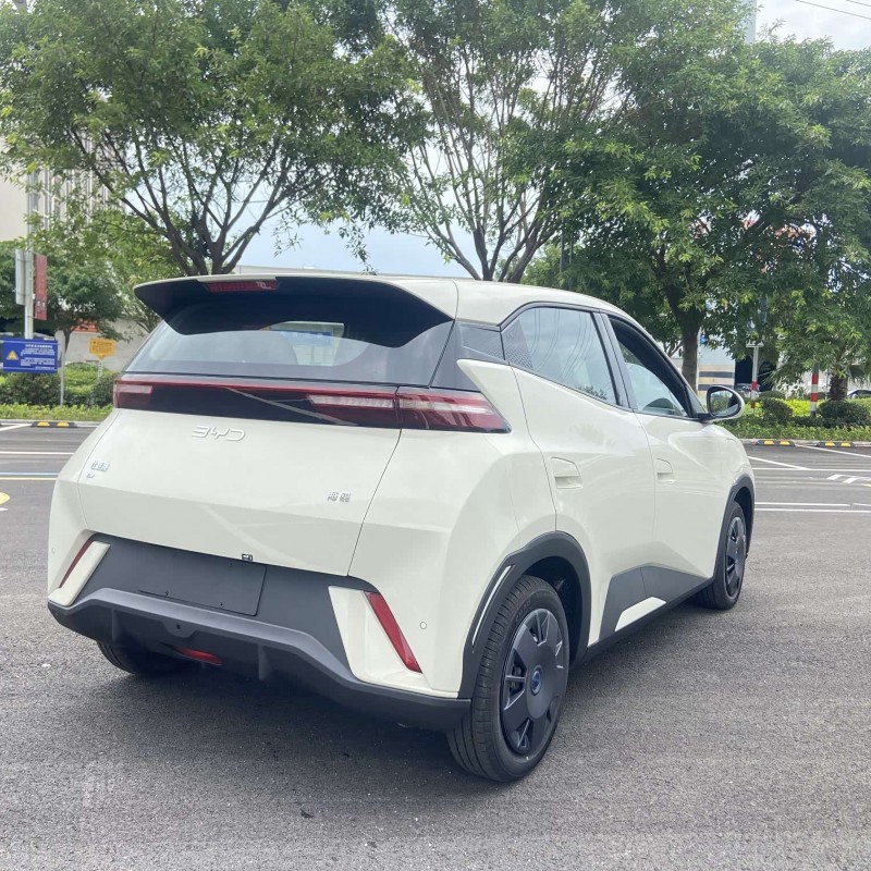 Seagull 2025 305km Vitality Edition Seagull 2025 305km Vitality Edition