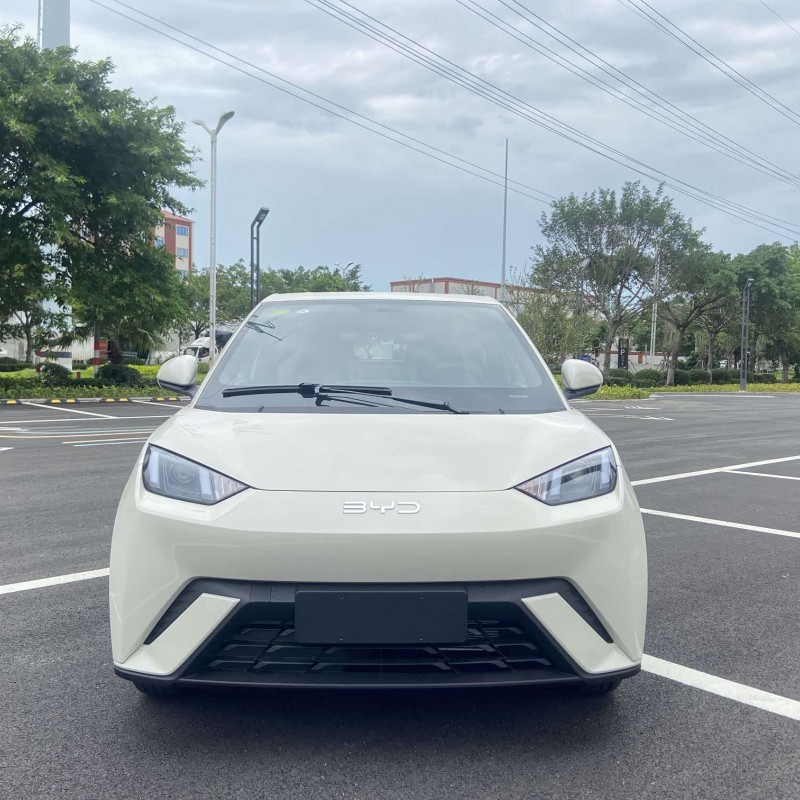 Seagull 2025 305km Vitality Edition Seagull 2025 305km Vitality Edition