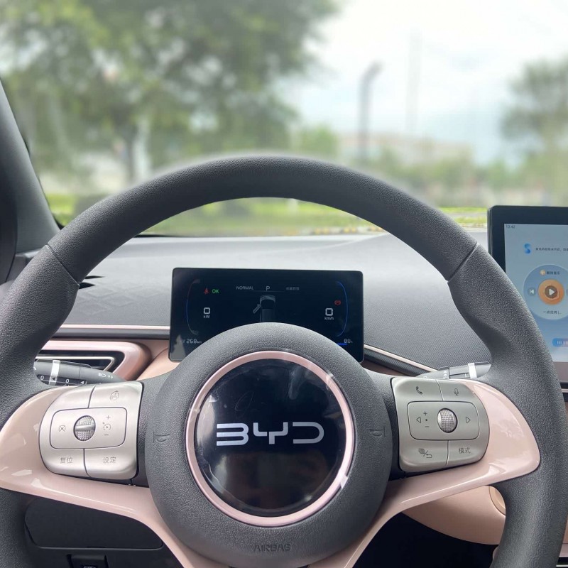 Seagull 2025 305km Vitality Edition Seagull 2025 305km Vitality Edition