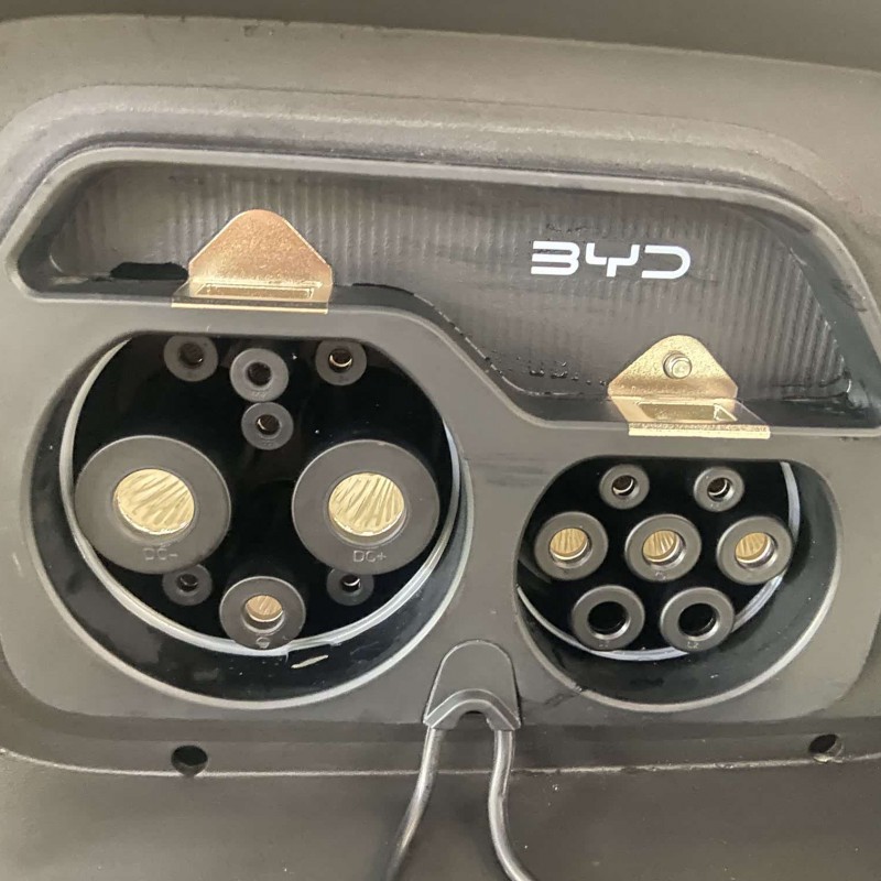 Seagull 2025 305km Vitality Edition Seagull 2025 305km Vitality Edition
