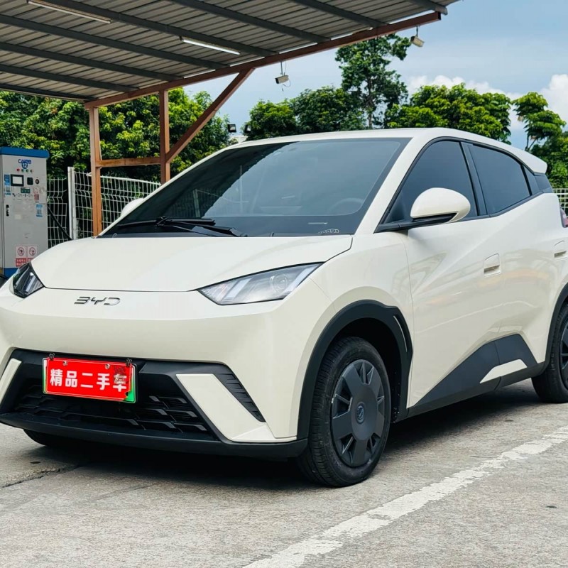 Seagull 2025 305km Vitality Edition Seagull 2025 305km Vitality Edition