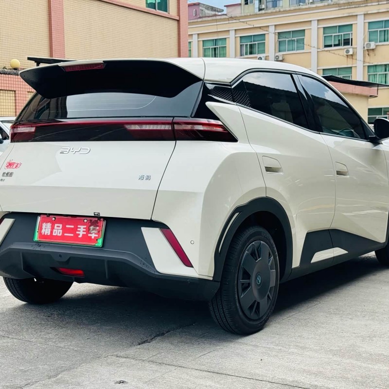 Seagull 2025 305km Vitality Edition Seagull 2025 305km Vitality Edition