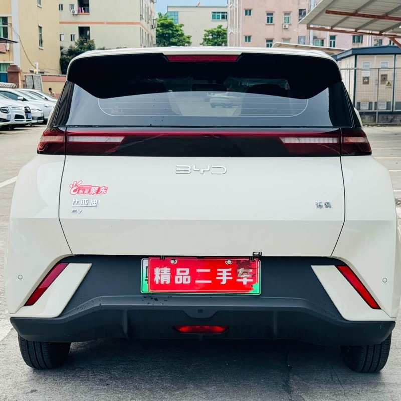 Seagull 2025 305km Vitality Edition Seagull 2025 305km Vitality Edition