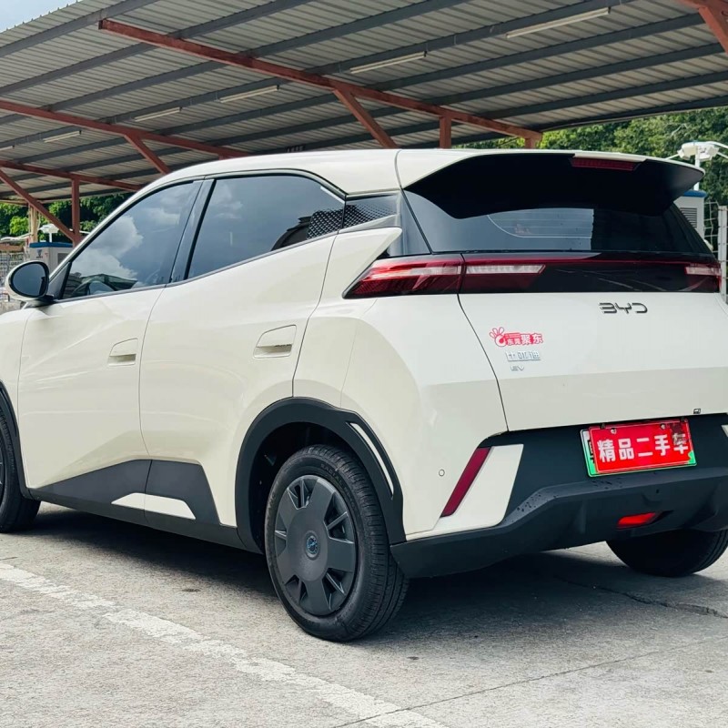 Seagull 2025 305km Vitality Edition Seagull 2025 305km Vitality Edition