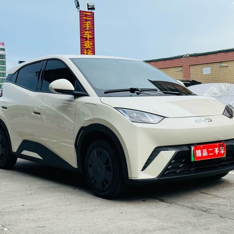 Seagull 2025 305km Vitality Edition Seagull 2025 305km Vitality Edition