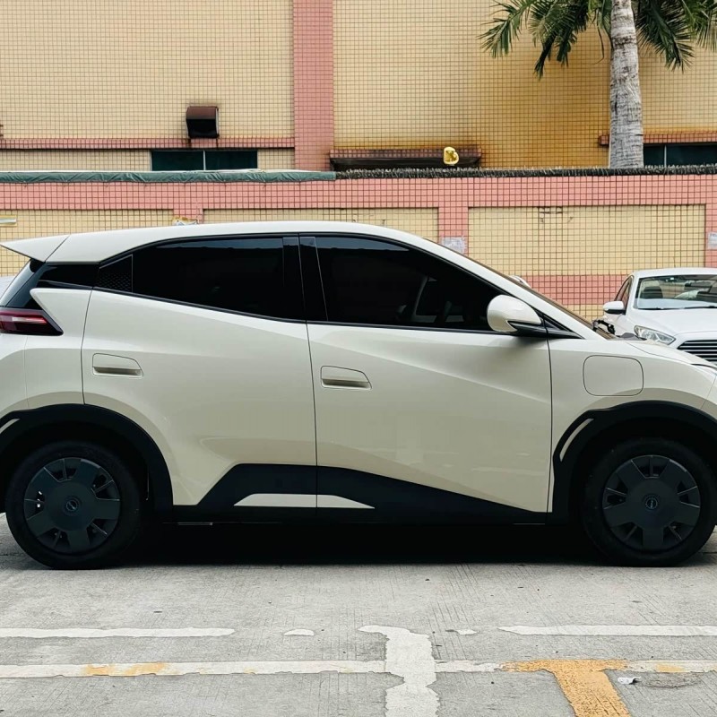Seagull 2025 305km Vitality Edition Seagull 2025 305km Vitality Edition