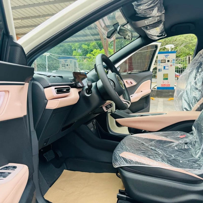 Seagull 2025 305km Vitality Edition Seagull 2025 305km Vitality Edition