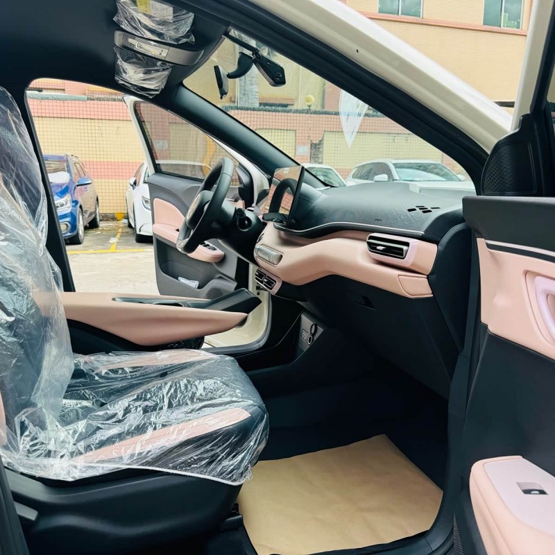 Seagull 2025 305km Vitality Edition Seagull 2025 305km Vitality Edition