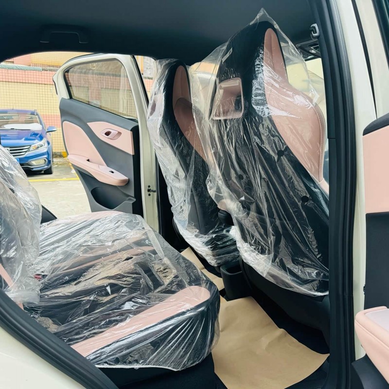 Seagull 2025 305km Vitality Edition Seagull 2025 305km Vitality Edition