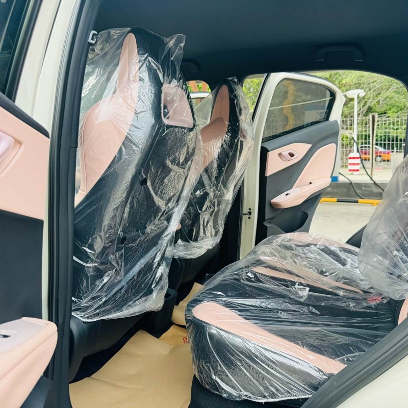 Seagull 2025 305km Vitality Edition Seagull 2025 305km Vitality Edition